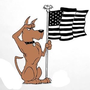 Meet your Posher, Ronald